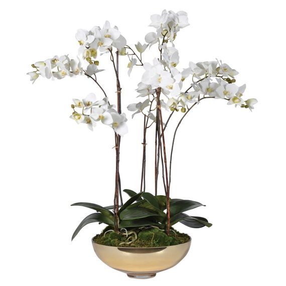 White Orchid  in  Gold Glass Bowl