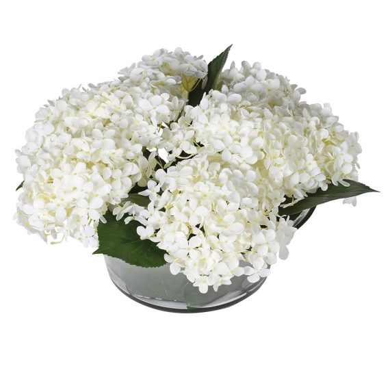 White Hydrangea  in glass bowl